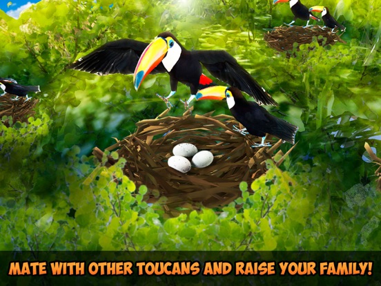 Screenshot #6 pour Toucan Simulator 3D: Bird Life