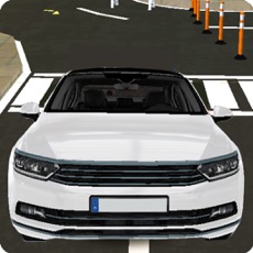 Activities of Passat B8 Driving Simulator 2017