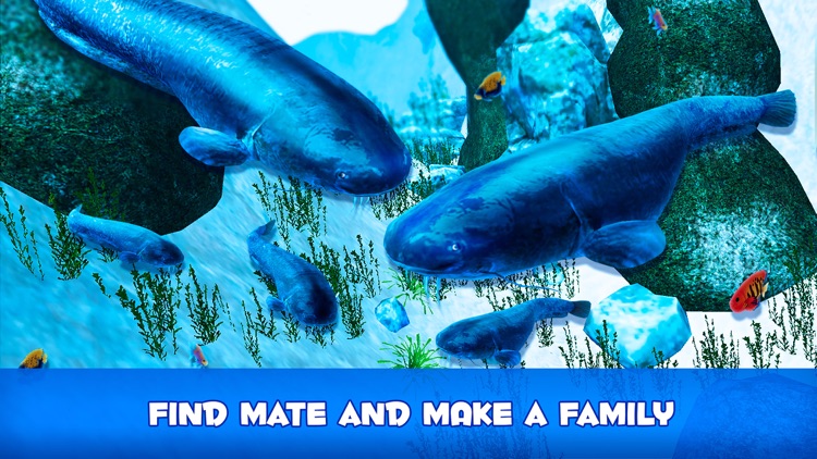 Catfish Underwater Life: Fish Simulator 3D screenshot-4