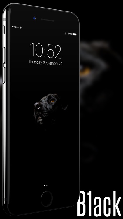 B1ack screenshot-4