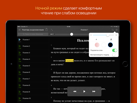 Screenshot #6 pour Псалтирь на русском
