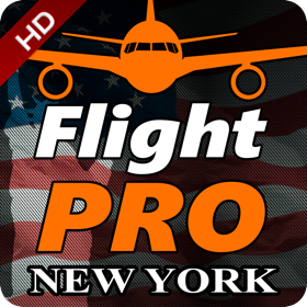 Ảnh chụp màn hình (5) Pro Flight Simulator New York Premium Edition