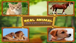 Game screenshot Animal Jigsaw Puzzles : puppy & cat puzzles hack