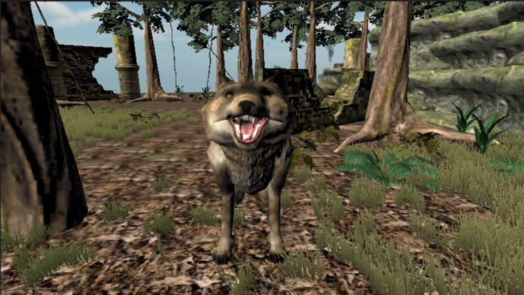 Wild Wolf & Bear Hunting sniper shooter screenshot-3