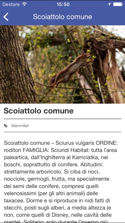 Oasi di Sant'Alessio screenshot-3