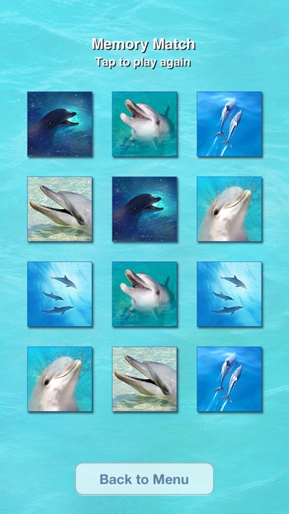 Lovely Dolphins Slideshow & Wallpapers