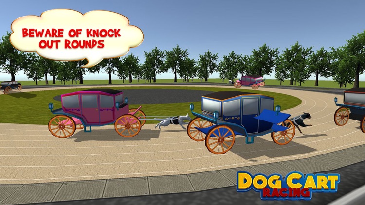 Dog Cart Race : sled dog race by driving  wagons