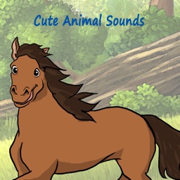 Cute Animal Sounds