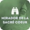 Amazing and unique, the best way to know the most interesting points of Paris that you can see from the Lookout of the Sacré Coeur