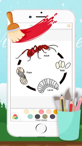 Game screenshot Ant Coloring Page Drawings Book for kids hack