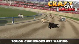 Game screenshot Cat Racing Free Game apk