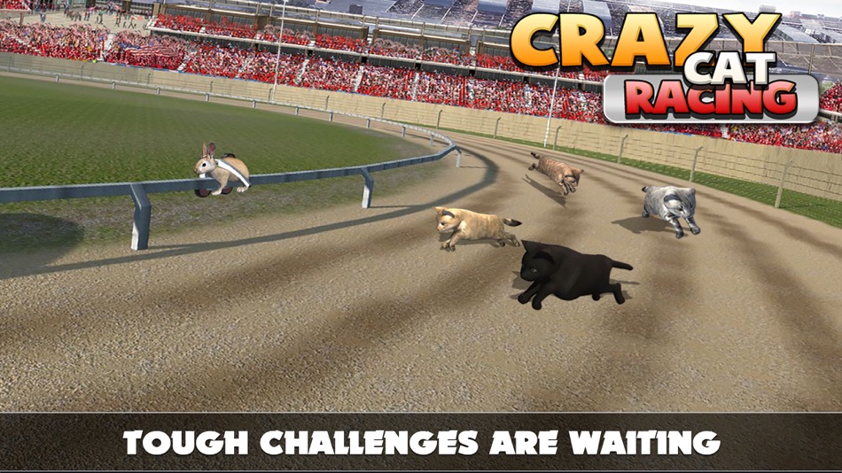#2. Cat Racing Free Game (iOS) 由: Atif Mumtaz