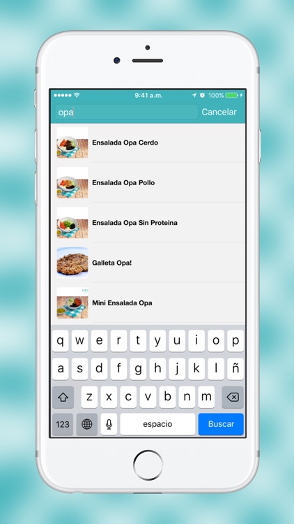 Opa Gyros - Domicilios