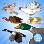 Happy Aviary Adventure - Pick your bird game! App Contact