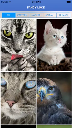 Captura de pantalla de Fancy Lock - Backgrounds & Wallpapers en iPhone 4