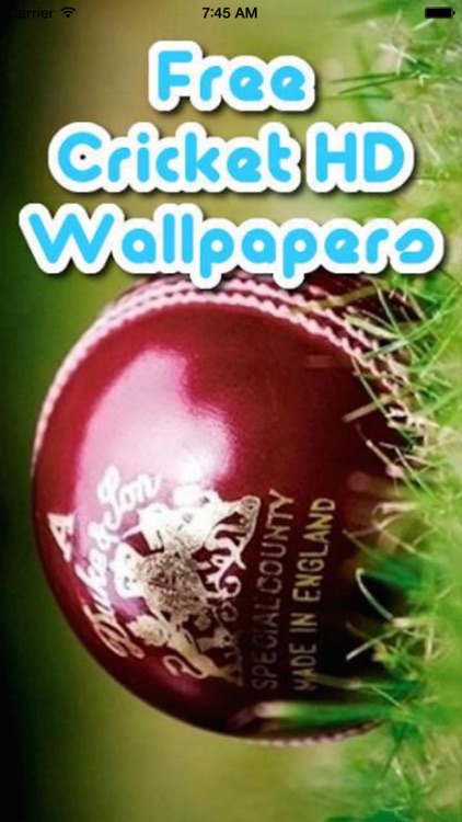 Cricketers Wallpaper HD - Cricket Players Pictures