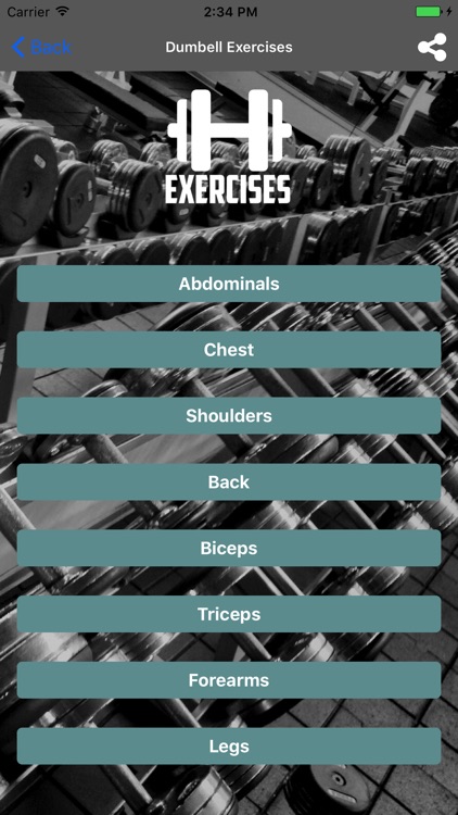 Dumbbell Exercises Light