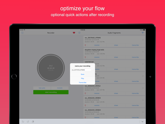 Instant Rec Lite: Audio Recorder & Voice Recording iPad screenshot