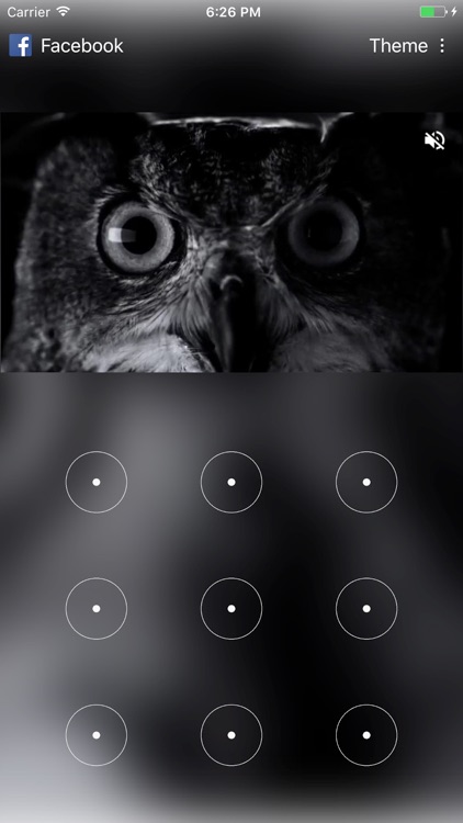 Cheetah Ads, Showcase