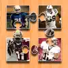American Football Jigsaw Puzzle For NFL Champions delete, cancel