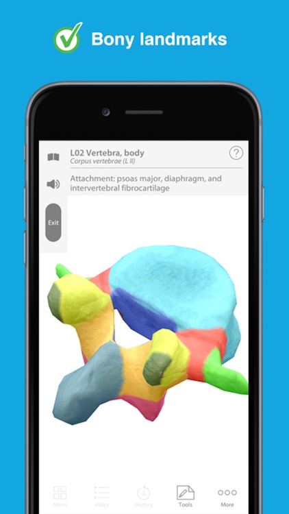 Human Anatomy Atlas - 3D Anatomical Model Body screenshot-3