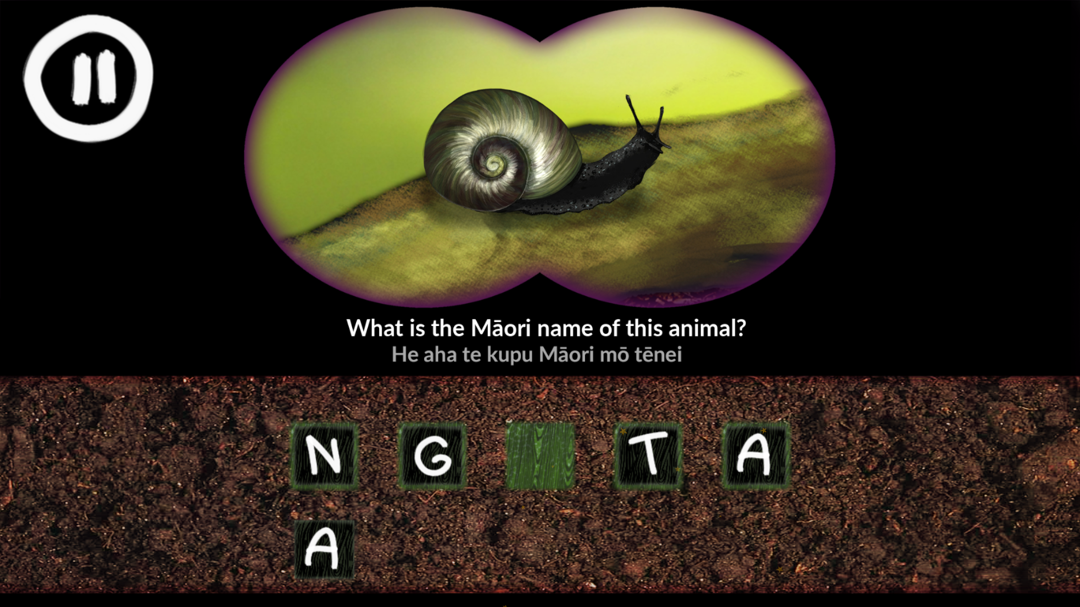 He Kīrehe Māori / Native Animals