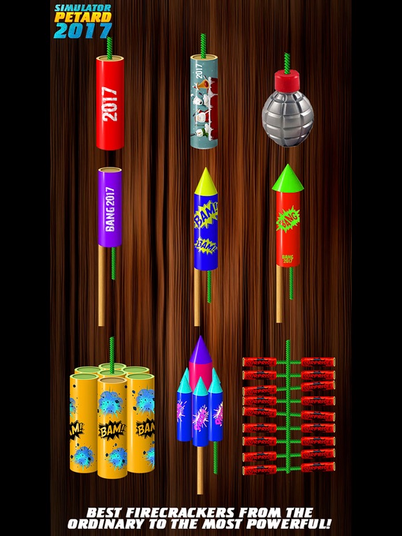 Simulator Petard 2017 iPad screenshot