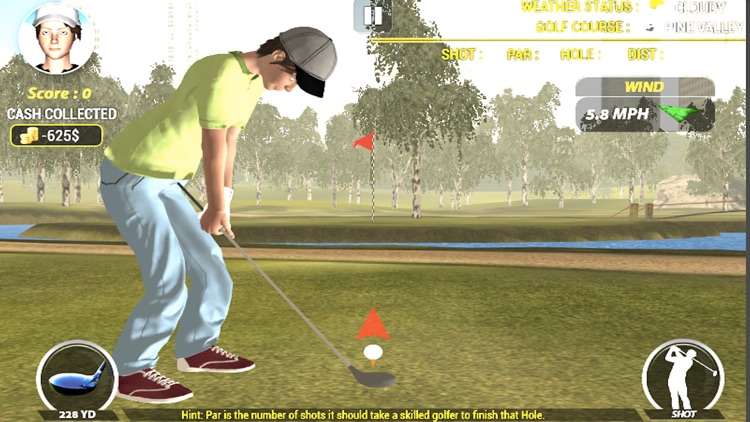 Golf Simulator 3d
