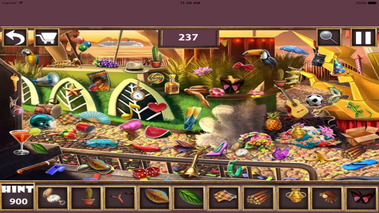 Free Hidden Objects : Flowers Streets screenshot-3