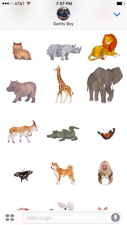 Jazzy World Animals - Wildlife Zoo Stickers
