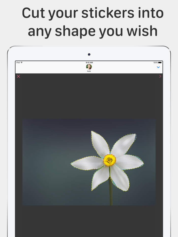 Animated Stickers by Stickit