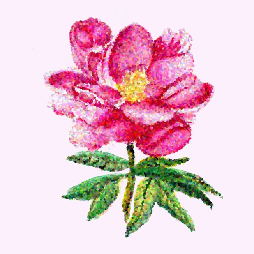 Pink Blooms Icon