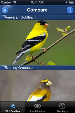 Bird Id USA - backyard birds screenshot 3