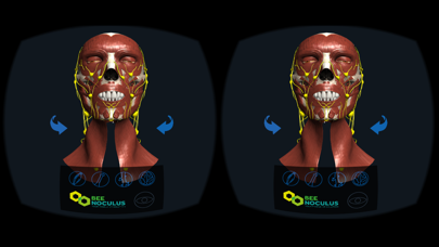 Head Anatomy - Virtual Reality Medicineのおすすめ画像1