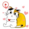 Happy Cat Animated Stickers