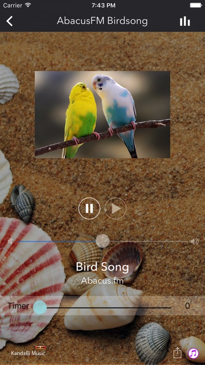 Spa Music Radio screenshot-3