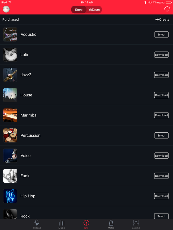 YoDrum Pro iPad screenshot