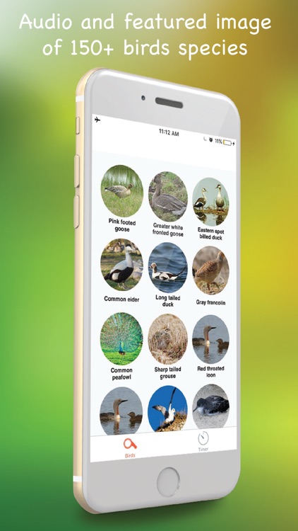 Bird Calls - SoundBoards of Chatter and Caller