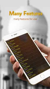 Holy Quran - Mishary Rashid Alafasy - offline screenshot #3 for iPhone