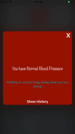Blood Pressure App screenshot 2