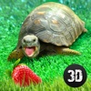 Turtle Simulator: House Pet Life