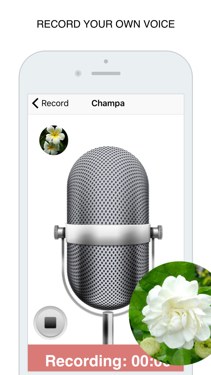 Flowers Flashcard for babies and preschool