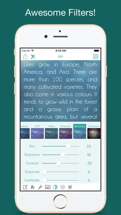 Type Freely iPhone Ekran Görüntüsü 3