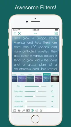 Type Freely iPhone image 3