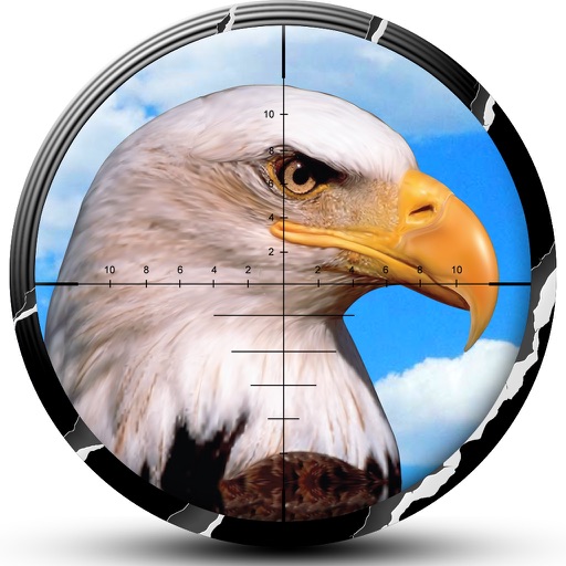 Wild Eagle Hunter & Ultra Sniper Shooting Game icon