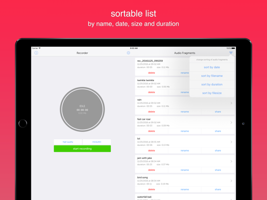 Instant Rec Lite: Audio Recorder & Voice Recording iPad screenshot