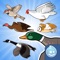 Fly with your favorite bird and take the challenge: pass inside tunnels, pipes and earn as much money as you can