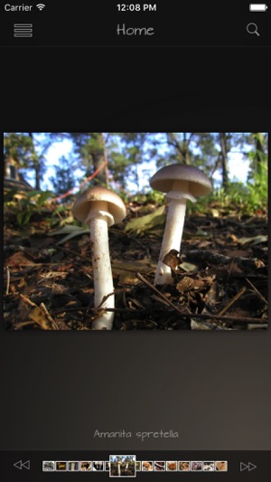 Mushrooms Pro(圖1)-速報App