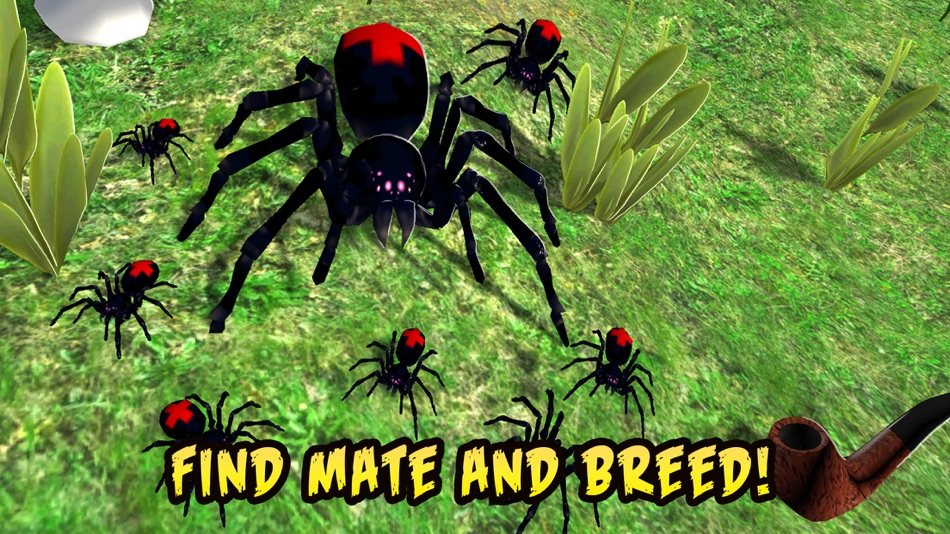 #3. Black Widow Insect Spider Life Simulator (iOS) 由: Tayga Games OOO