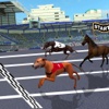 Crazy Dog Race : Real Racing Adventure Game